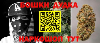 индика Тулун