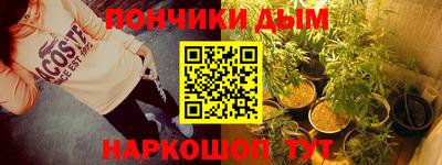 индика Тулун