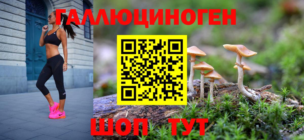 Галлюциногенные грибы Psilocybine cubensis  Вход с VPN  Красноуфимск  Псилоцибиновые грибы мицелий 