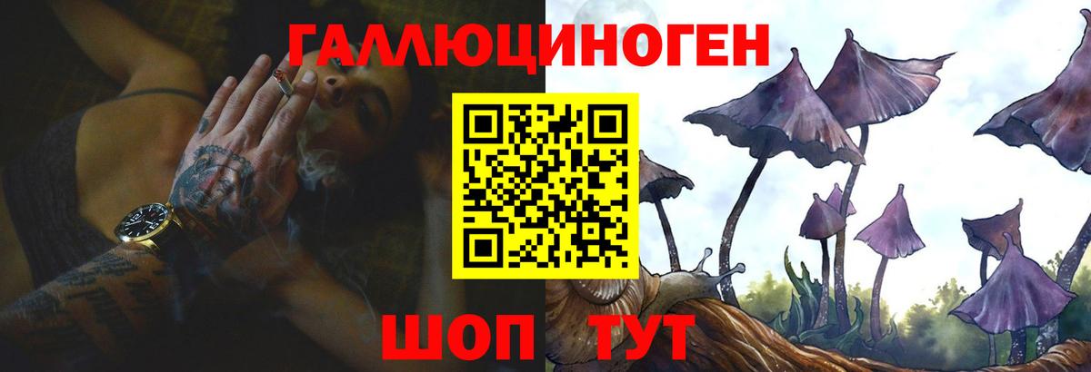 Галлюциногенные грибы Psilocybine cubensis Красноуфимск